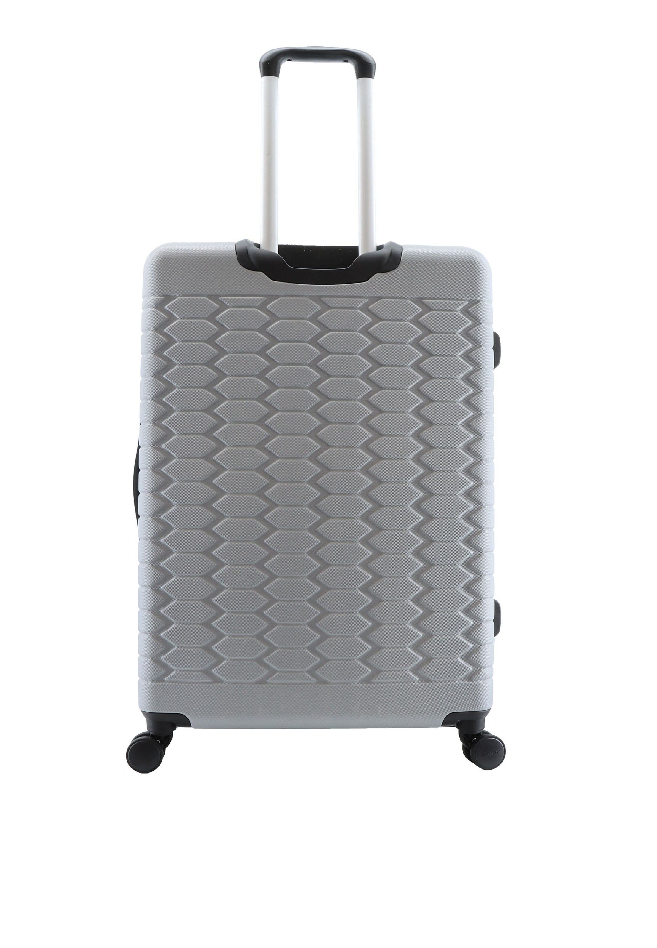 Discovery Suitcase Set 'REPTILE' in Silver
