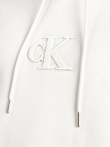 Calvin Klein Jeans Sweatshirt in Grey