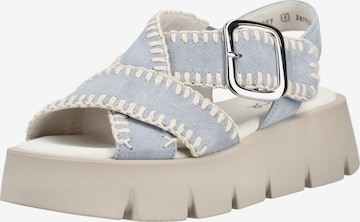 Sandales à lanières GABOR en bleu : devant