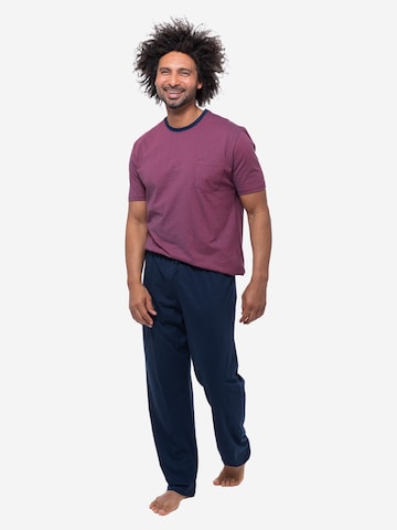 Ammann Pyjama kurz 'Night & Home Cotton' in Mischfarben