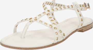 Kennel & SchmengerJapanke 'Elle' - bijela boja: prednji dio