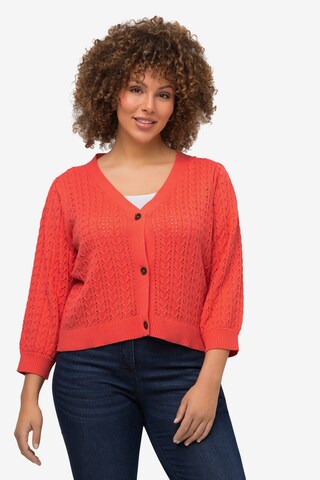 Ulla Popken Strickjacke in Orange