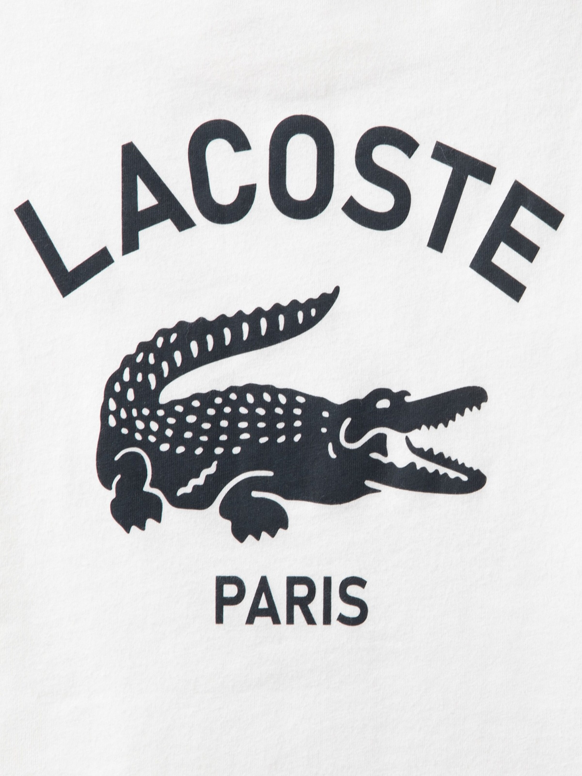 LACOSTE Shirt 'GRAPHIC CORE' in Beige