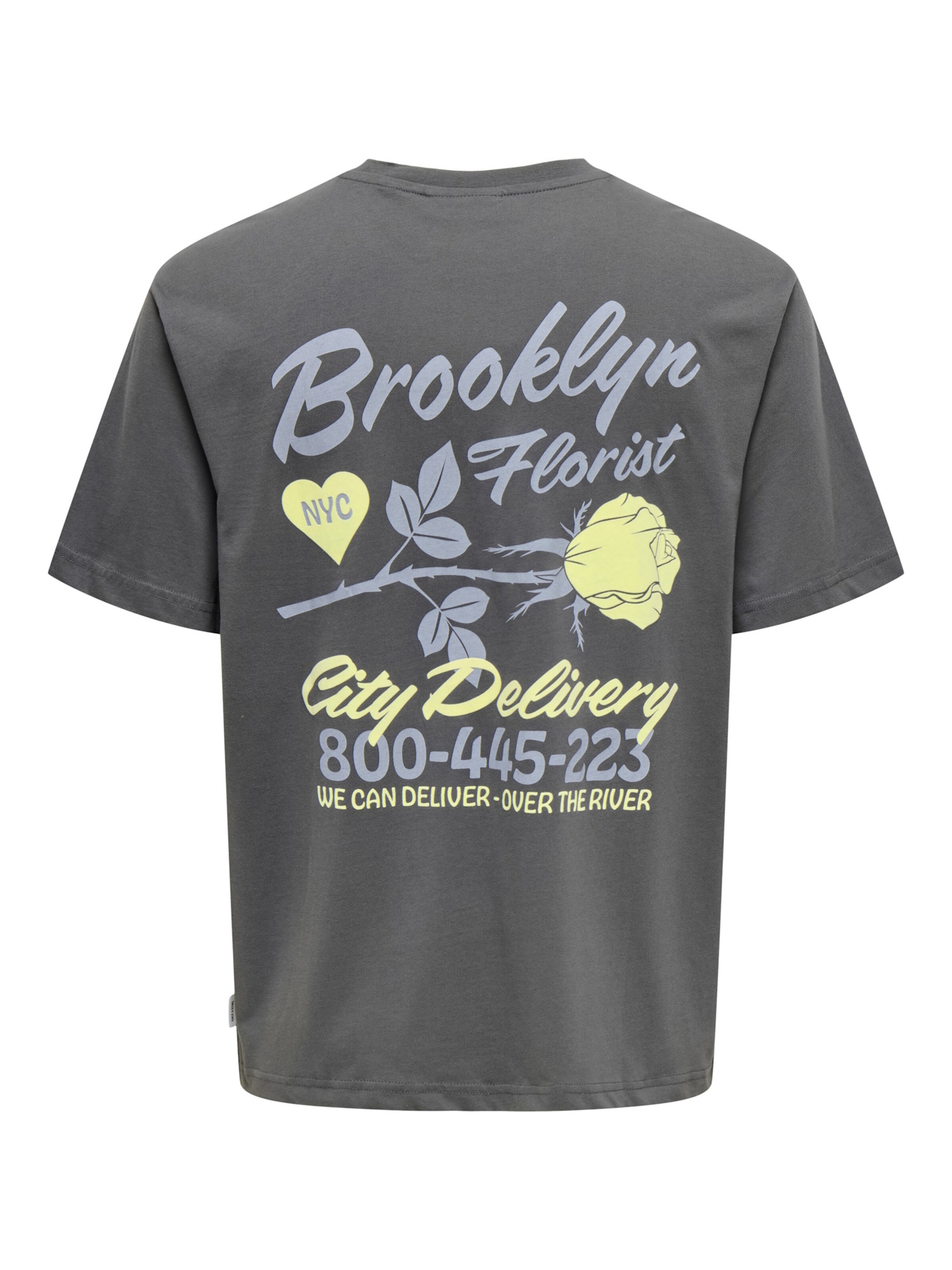 Maglietta 'Rylan' di Only & Sons in grigio