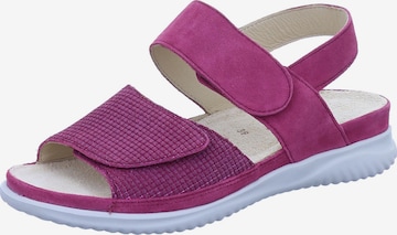 Hartjes Sandals 'BREEZE' in Purple: front