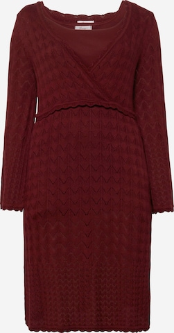 SHEEGO Knitted dress in Red: front