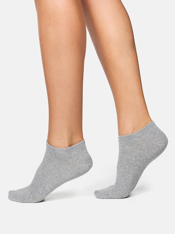 Nur Die Socks ' Baumwolle ' in Grey