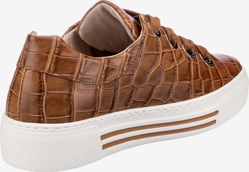GABOR Sneakers 'Comfort Florenz 66.464' in Brown