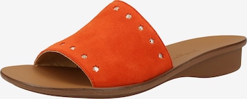 Paul Green Mules in Orange: front