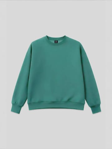 Felpa 'Sweatshirts' di Tommy Life in verde: frontale
