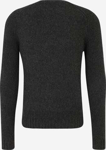 Zadig & Voltaire Pullover 'JORDAN WE DOBERMANN' in Grau