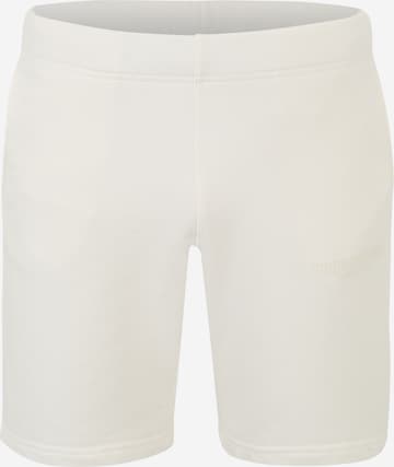 True Religion Regular Trousers in White: front