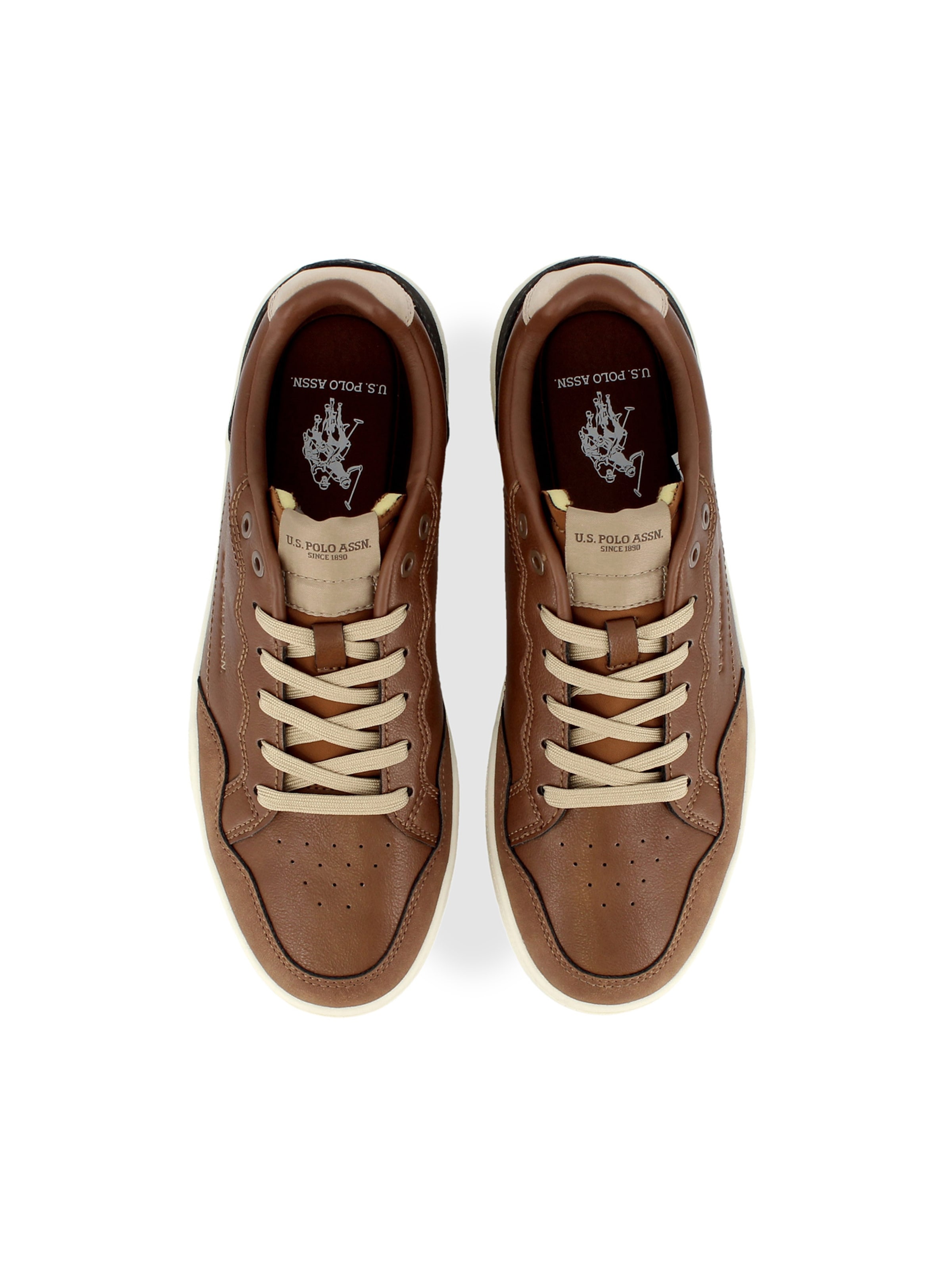 Baskets basses 'Elia' US POLO ASSN. en marron
