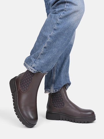 Crickit Chelsea boots ' SISSY ' in Bruin