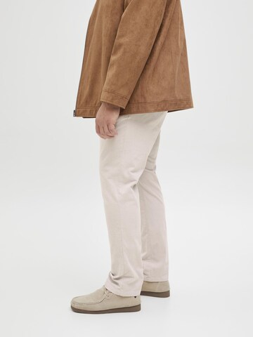 Jack & Jones Plus Slimfit Chino in Grijs
