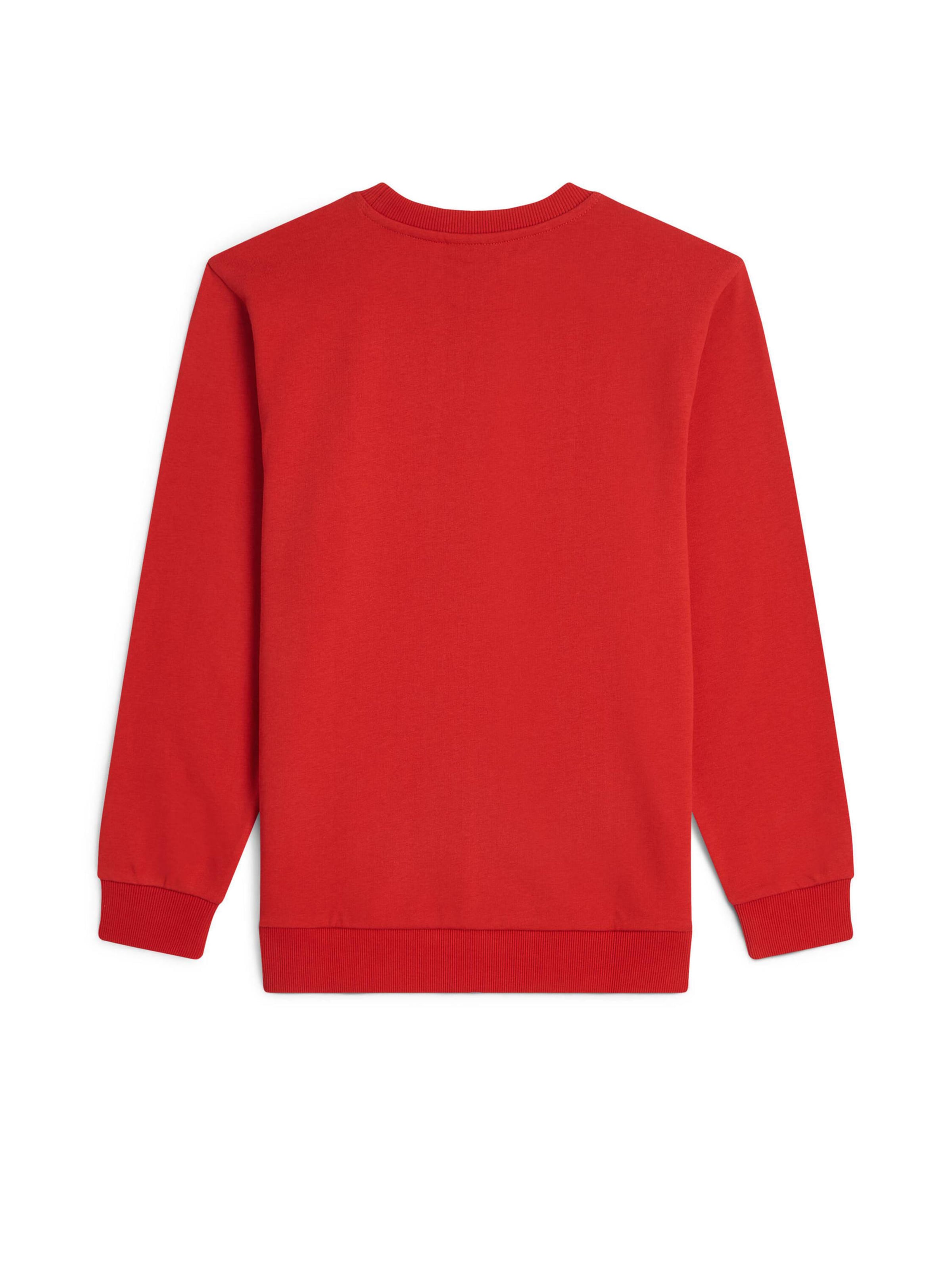 O'NEILL Sweatshirt 'Cali' in Red