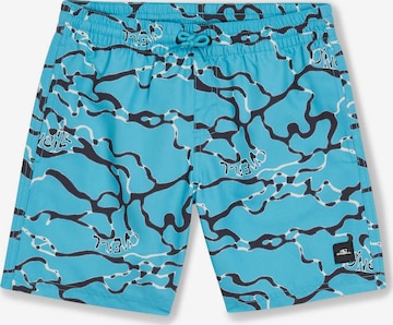 O'NEILL Ujumispüksid, värv sinine: eest vaates