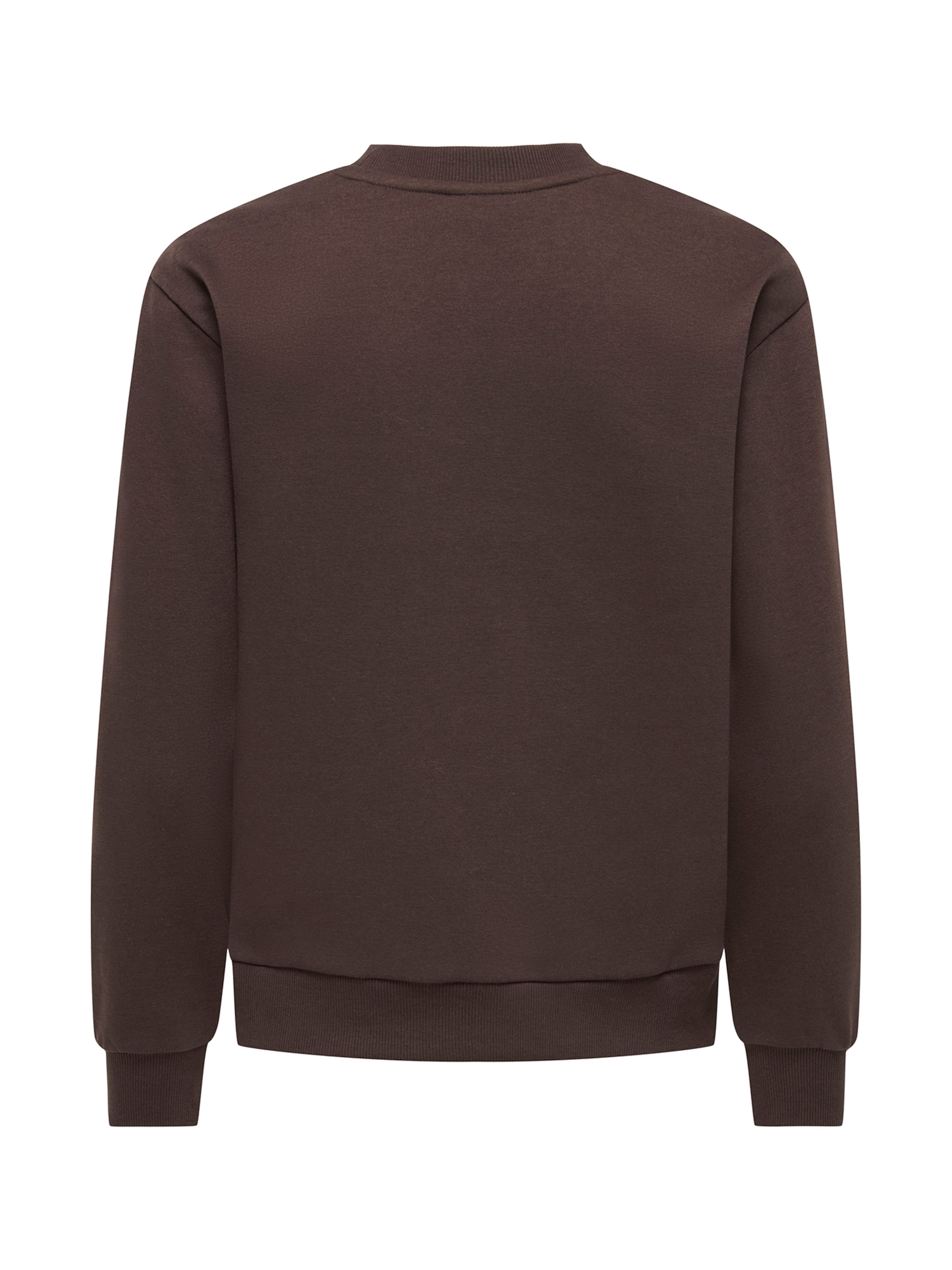 JDY Sweatshirt 'JDYPARIS' in Bruin