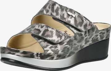 Mule vital en gris : devant
