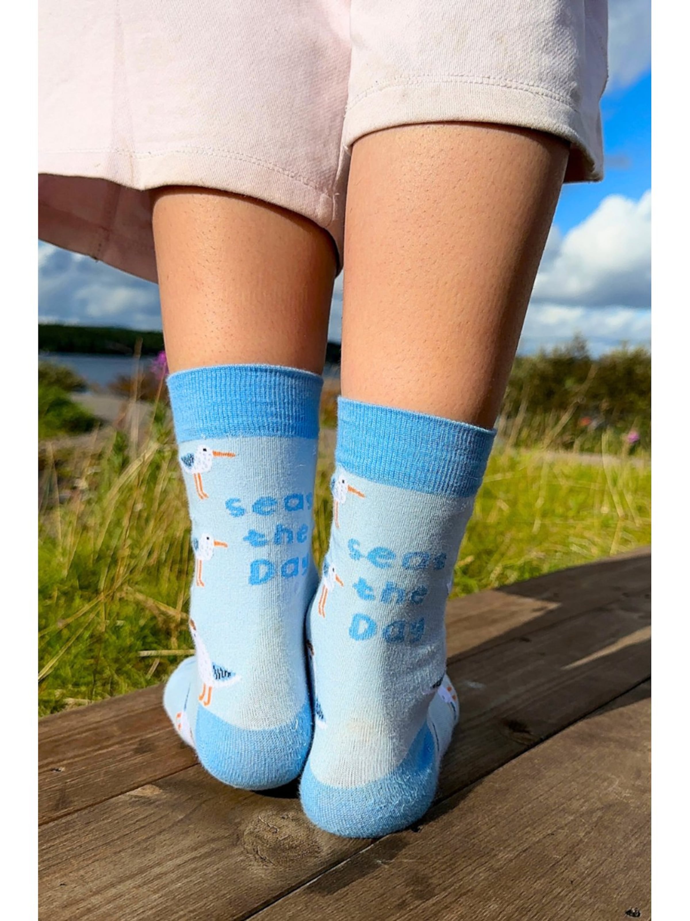 Sokisahtel Socks 'Seagull' in Blue