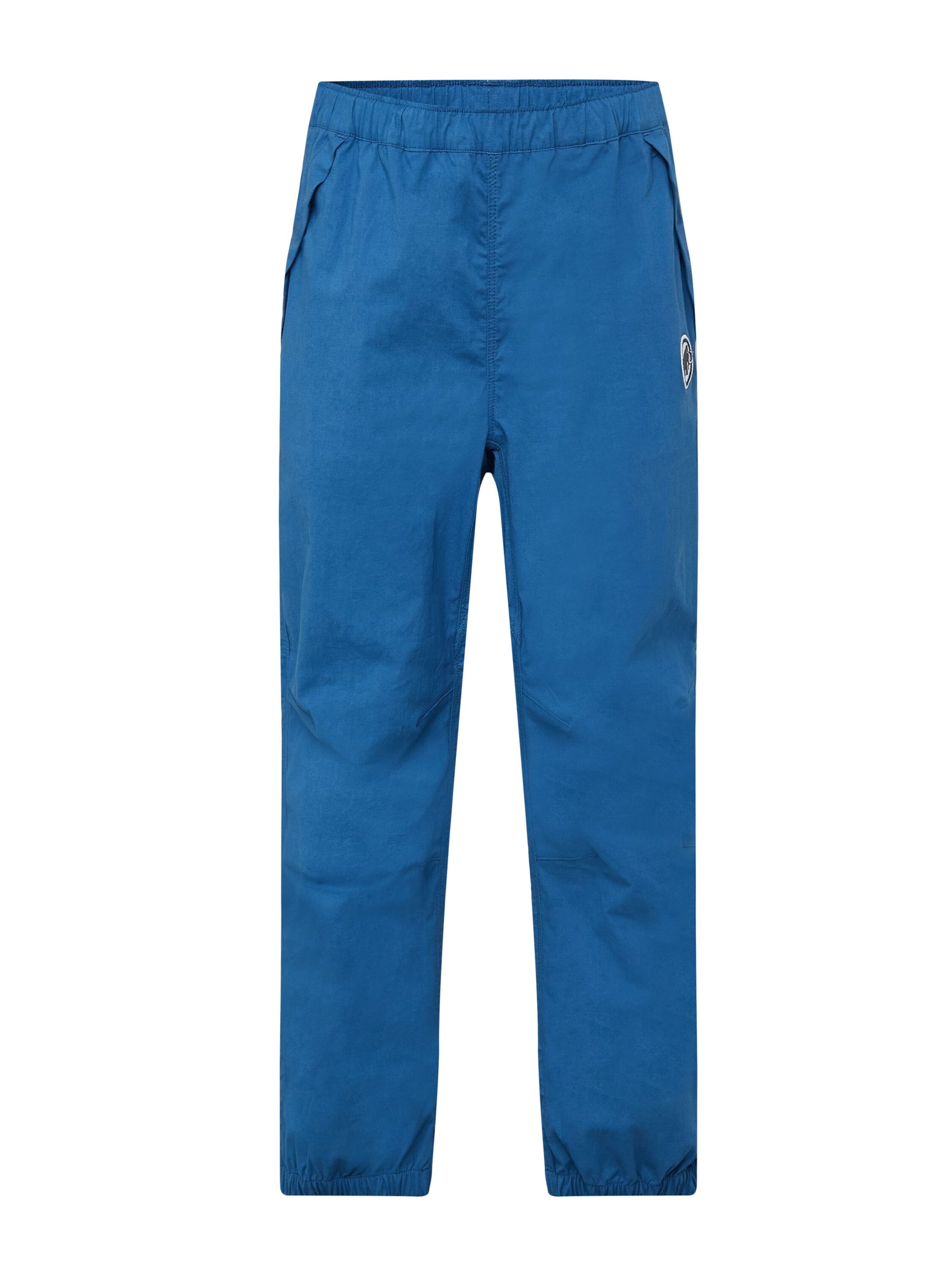 MAMMUT Outdoor Pants in Blue: front