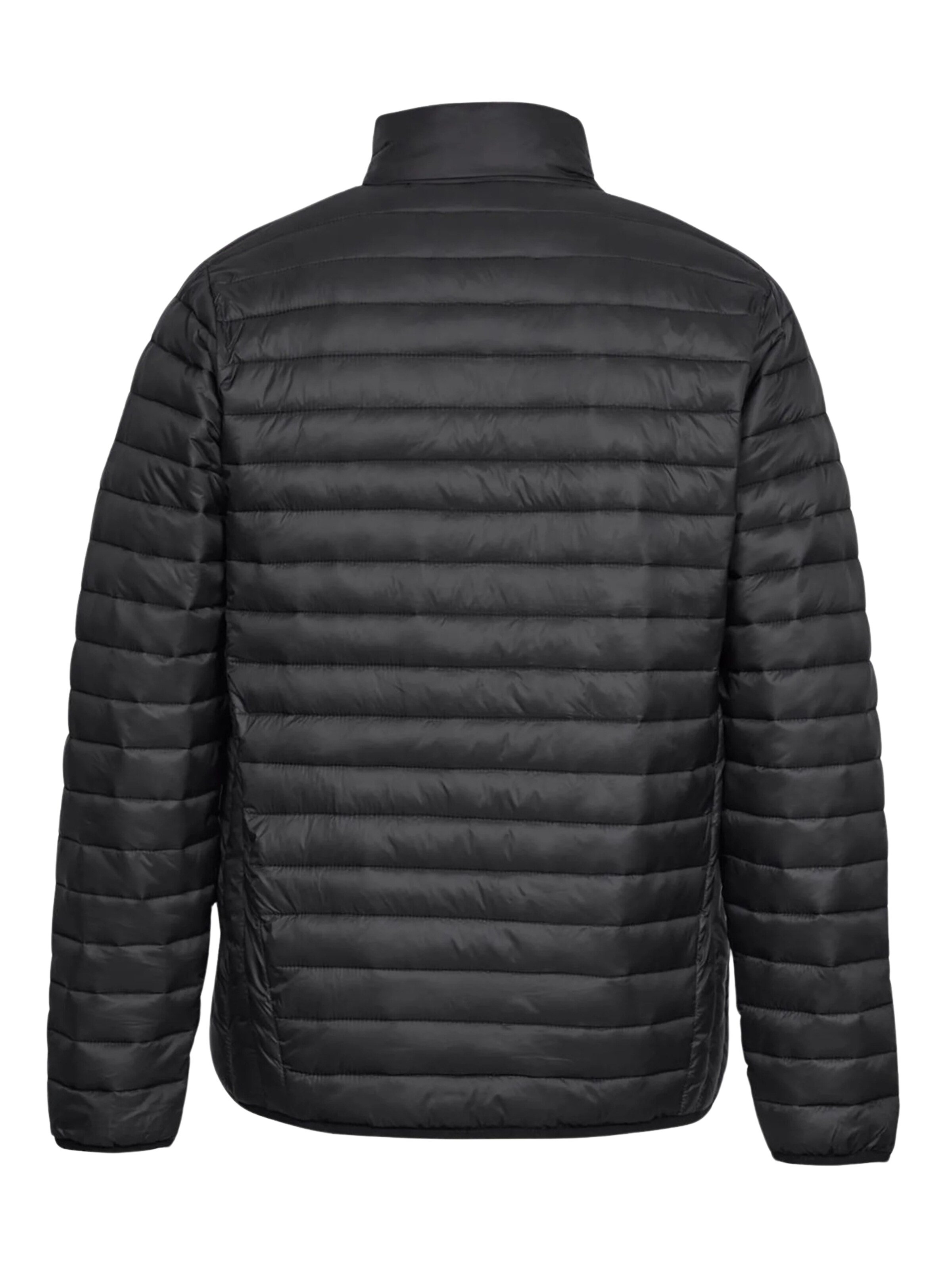 U.S. POLO ASSN. Välikausitakki 'Mark' värissä musta