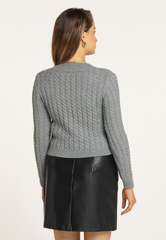 faina Pullover in Grau