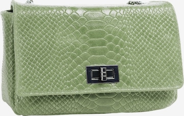 Cluty Crossbody Bag in Green: front