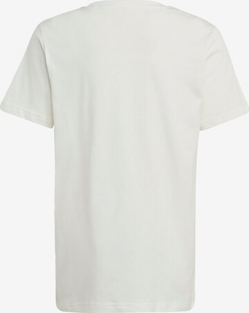 ADIDAS ORIGINALS Shirt 'Coliate Graphic Bf' in Weiß