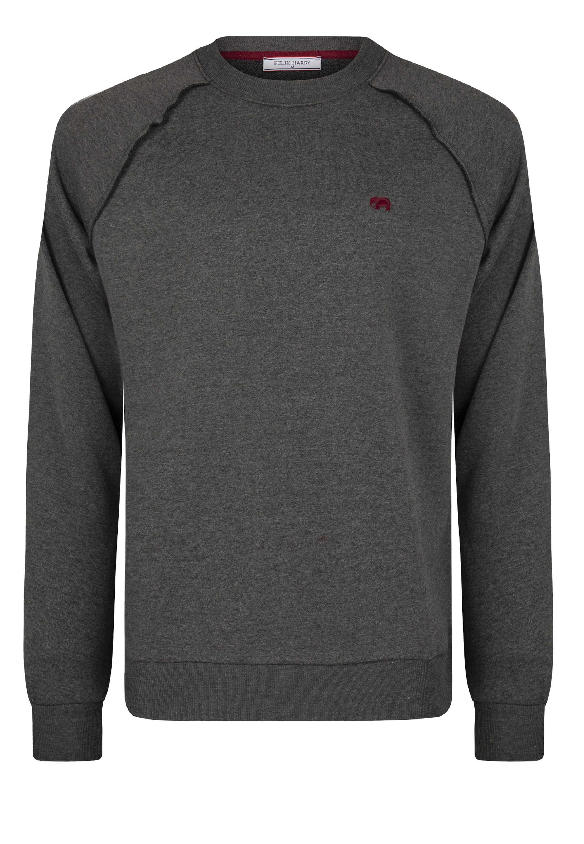 Felpa di Felix Hardy in grigio: frontale