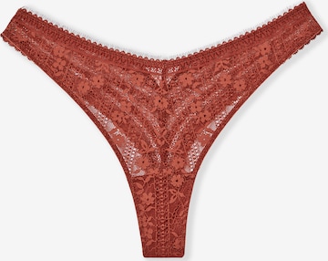 String di ETAM in marrone: frontale