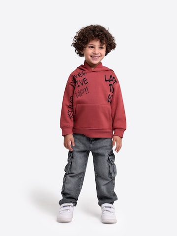 Solang Sweatshirt in Bruin