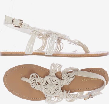 NEW LOOK Sandalen 42 in Beige: predná strana