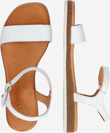 Apple of Eden Strap sandal 'ISA' in White