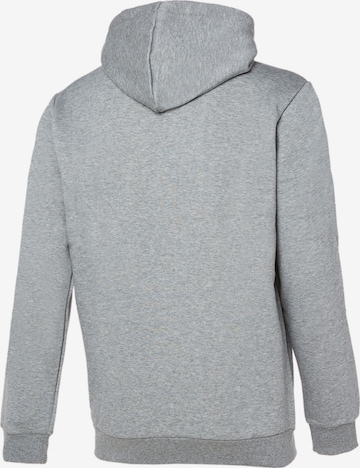 PUMA Sweatshirt in Grau