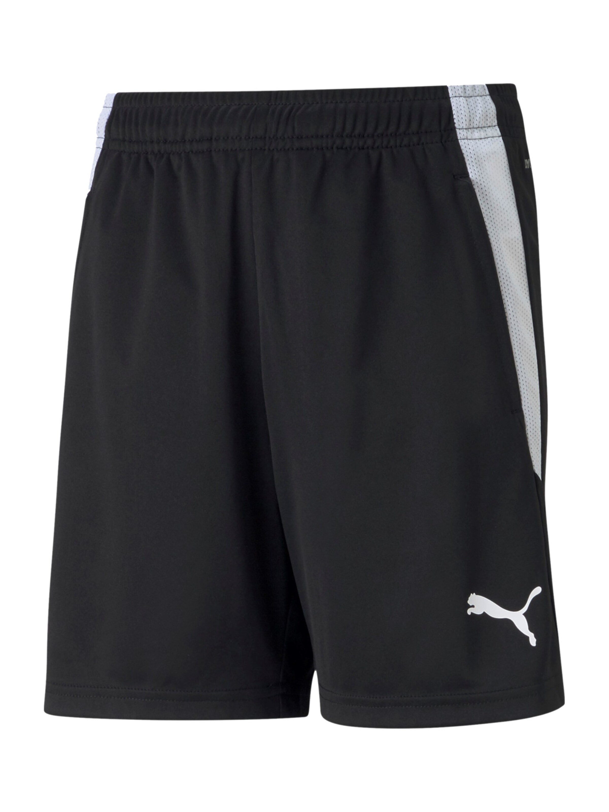PUMA Sportshorts 'TeamLiga' in Schwarz: Vorderseite