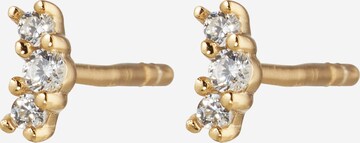 Glanzstücke München Earrings in Gold: front