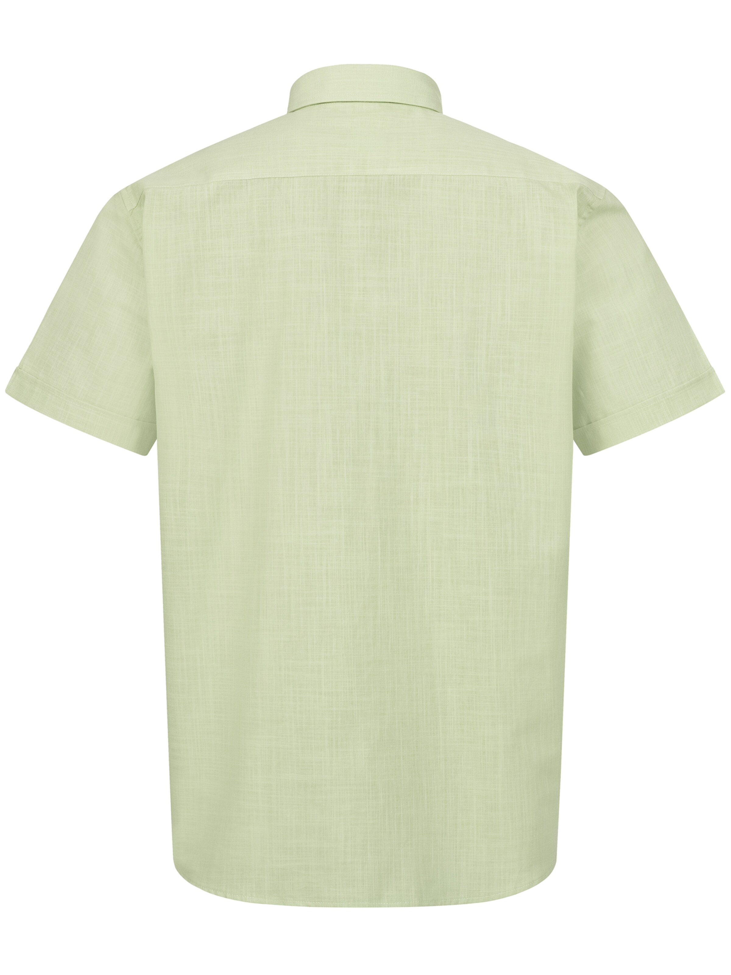 Indumentum Regular Fit Hemd in Grün