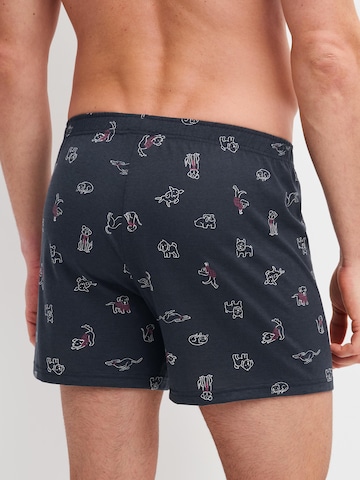 CALIDA Boxershorts 'Family & Friends' in Zwart