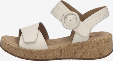 JOSEF SEIBEL Sandaal 'Evita 05' in Beige: voorkant
