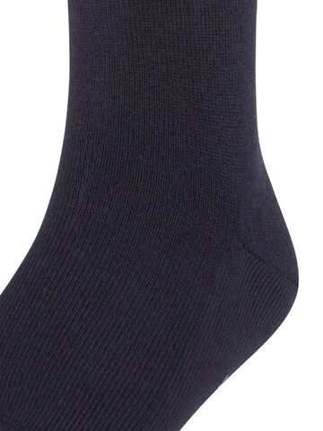 FALKE Socks 'Family' in Blue