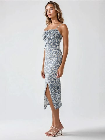 Hiccup - Vestido em azul