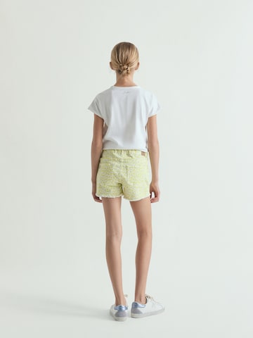 Regular Pantalon ' ' Scalpers en vert