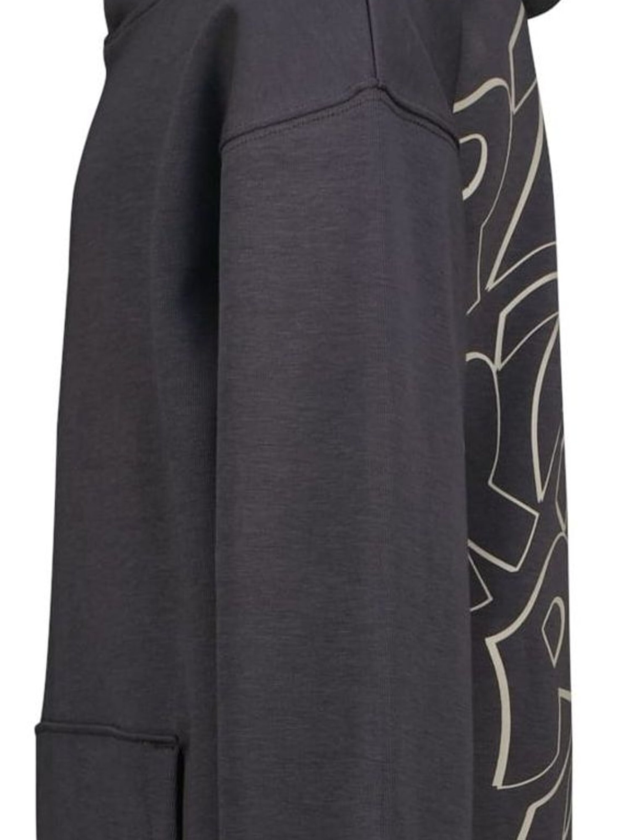 Raizzed Sweatshirt in Grijs