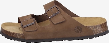 DR. BRINKMANN Pantolette 'Bonillo' in Braun: Vorderseite