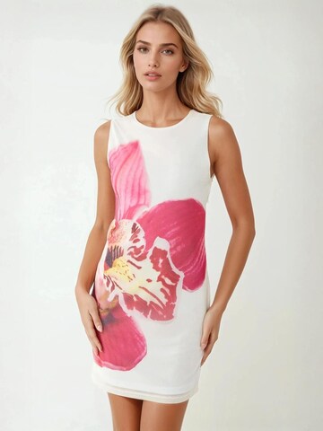 Hiccup Dress in White: front