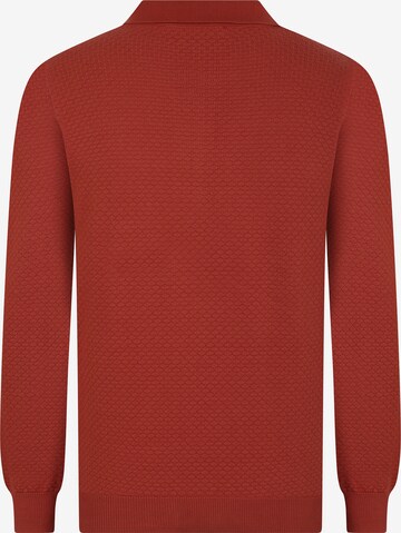 DENIM CULTURE Sweater 'Emrick' in Red