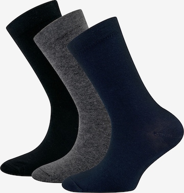 EWERS Socks in Blue: front