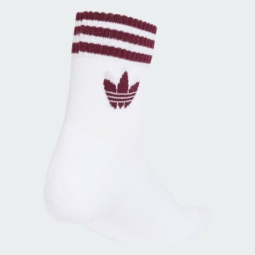ADIDAS ORIGINALS - Meias em branco