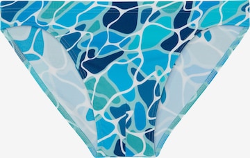 Maillot de bain HOM en bleu : devant